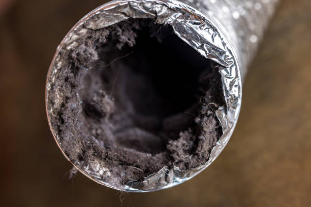 Best Ductwork Cleaning Services  in Geneva, WA