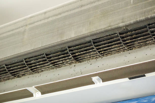 Best Home Air Vent Cleaning  in Geneva, WA